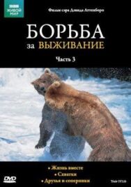 Постер к фильму BBC: Борьба за выживание смотреть онлайн на HD Rezka