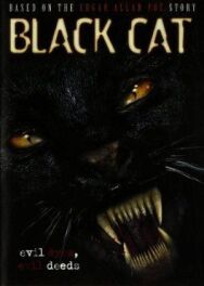 Постер к фильму Черная кошка смотреть онлайн на HD Rezka
