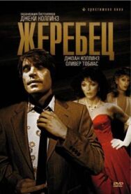 Постер к фильму Жеребец смотреть онлайн на HD Rezka