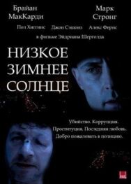 Постер к фильму Низкое зимнее солнце смотреть онлайн на HD Rezka