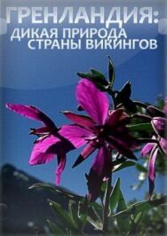 Постер к фильму Гренландия: Дикая природа страны викингов смотреть онлайн на HD Rezka