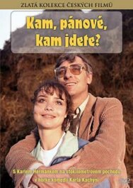 Постер к фильму Куда, товарищи, куда идете? смотреть онлайн на HD Rezka
