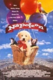 Постер к фильму Наполеон смотреть онлайн на HD Rezka