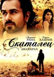 Постер к фильму Скиталец смотреть онлайн на HD Rezka