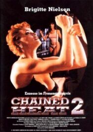 Постер к фильму Женщины за решеткой 2 смотреть онлайн на HD Rezka