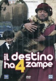 Постер к фильму Четвероногая звезда смотреть онлайн на HD Rezka