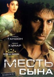 Постер к фильму Месть сына смотреть онлайн на HD Rezka
