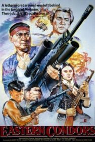 Постер к фильму Восточные кондоры смотреть онлайн на HD Rezka