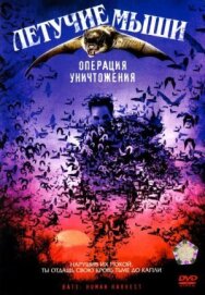 Постер к фильму Летучие мыши: Операция уничтожения смотреть онлайн на HD Rezka