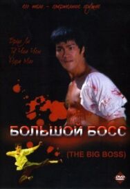 Постер к фильму Большой босс смотреть онлайн на HD Rezka