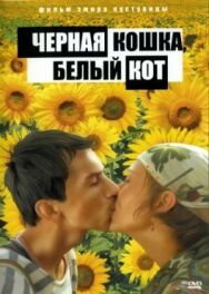 Постер к фильму Черная кошка, белый кот смотреть онлайн на HD Rezka
