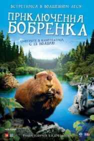 Постер к фильму Приключения бобрёнка смотреть онлайн на HD Rezka
