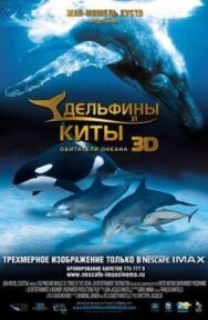 Постер к фильму Дельфины и киты 3D смотреть онлайн на HD Rezka