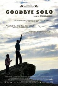 Постер к фильму Прощай, Соло смотреть онлайн на HD Rezka