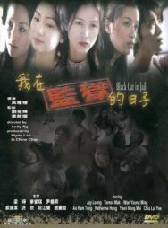 Постер к фильму Чёрная кошка 3: В тюрьме смотреть онлайн на HD Rezka