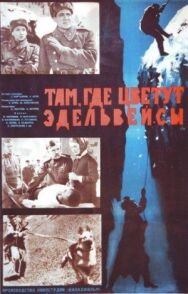 Постер к фильму Там, где цветут эдельвейсы смотреть онлайн на HD Rezka