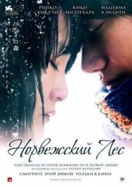 Постер к фильму Норвежский лес смотреть онлайн на HD Rezka
