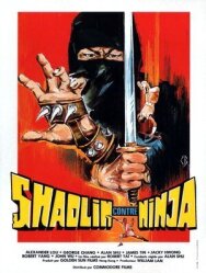 Постер к фильму Шаолинь против ниндзя смотреть онлайн на HD Rezka