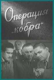 Постер к фильму Операция «Кобра» смотреть онлайн на HD Rezka