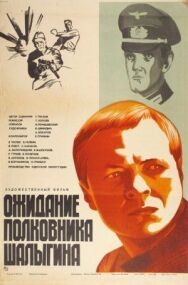 Постер к фильму Ожидание полковника Шалыгина смотреть онлайн на HD Rezka