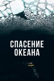 Постер к фильму Спасение океана смотреть онлайн на HD Rezka