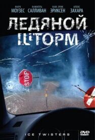 Постер к фильму Ледяной шторм смотреть онлайн на HD Rezka