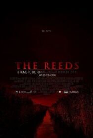 Постер к фильму Тростник смотреть онлайн на HD Rezka