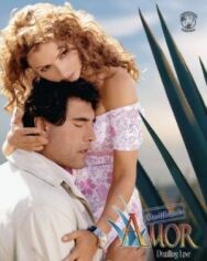 Постер к фильму Чистая любовь смотреть онлайн на HD Rezka