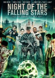 Постер к фильму Night of the Falling Stars смотреть онлайн на HD Rezka