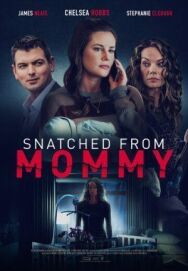 Постер к фильму Ярость матери смотреть онлайн на HD Rezka