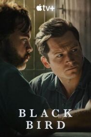 Постер к фильму Чёрная птица смотреть онлайн на HD Rezka