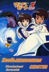 Постер к фильму Необыкновенная схватка смотреть онлайн на HD Rezka