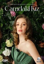 Постер к фильму Девушка за стеклом смотреть онлайн на HD Rezka