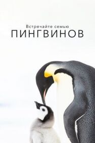 Постер к фильму Встречайте семью пингвинов смотреть онлайн на HD Rezka