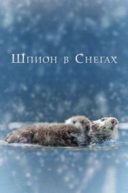 Постер к фильму Шпион в снегах смотреть онлайн на HD Rezka