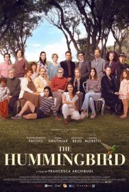 Постер к фильму Колибри смотреть онлайн на HD Rezka
