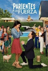 Постер к фильму Родственники по принуждению смотреть онлайн на HD Rezka