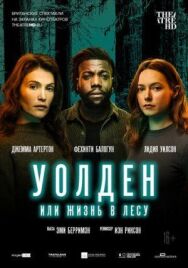 Постер к фильму Уолден, или Жизнь в лесу смотреть онлайн на HD Rezka
