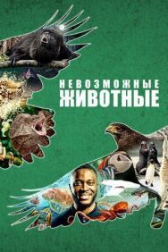 Постер к фильму Невозможные животные смотреть онлайн на HD Rezka