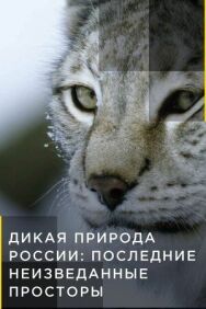Постер к фильму Дикая природа России: Последние неизведанные просторы смотреть онлайн на HD Rezka
