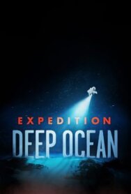 Постер к фильму На дне океана смотреть онлайн на HD Rezka