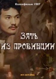 Постер к фильму Зять из провинции смотреть онлайн на HD Rezka