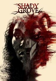 Постер к фильму Тенистая роща смотреть онлайн на HD Rezka
