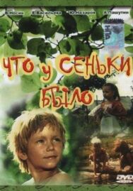 Постер к фильму Что у Сеньки было смотреть онлайн на HD Rezka