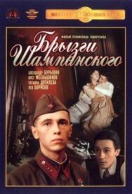 Постер к фильму Брызги шампанского смотреть онлайн на HD Rezka