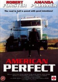 Постер к фильму Американское совершенство смотреть онлайн на HD Rezka