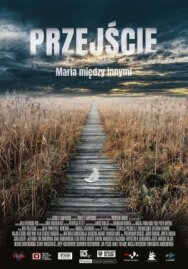 Постер к фильму Переход смотреть онлайн на HD Rezka