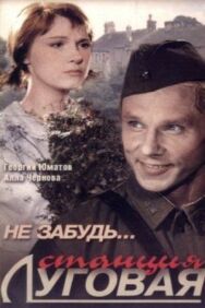 Постер к фильму Не забудь... станция Луговая смотреть онлайн на HD Rezka