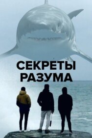 Постер к фильму Секреты разума смотреть онлайн на HD Rezka