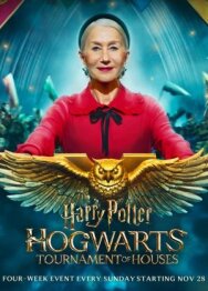 Постер к фильму Гарри Поттер: Битва факультетов смотреть онлайн на HD Rezka